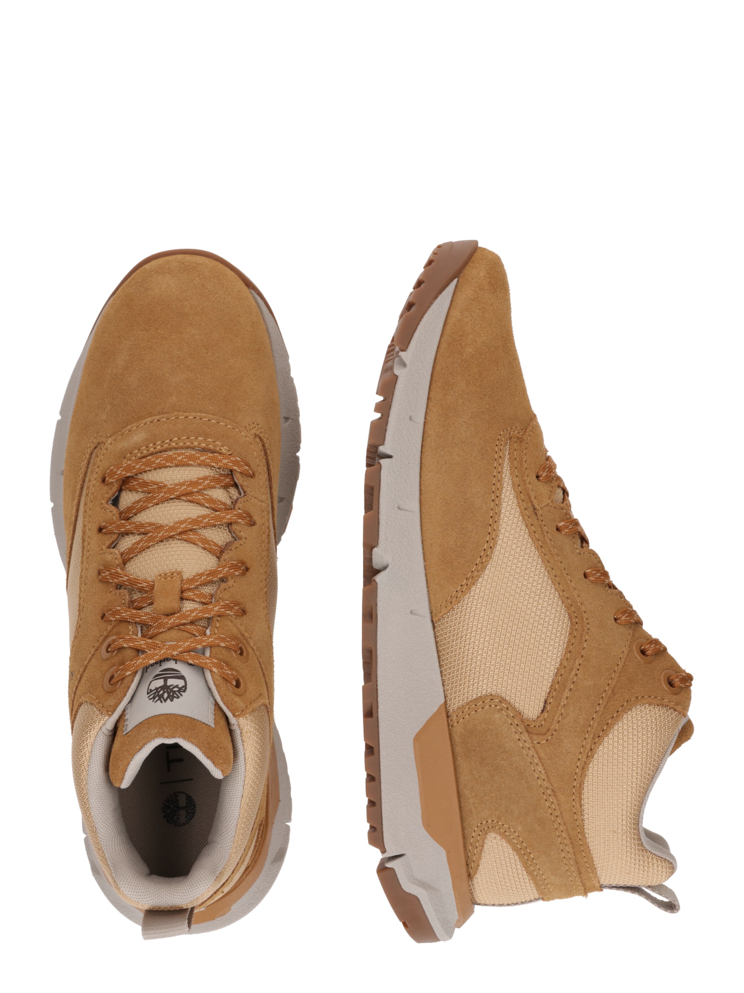 TIMBERLANDVisoke tenisice - smeđa boja