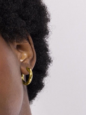 Luxenter Earrings 'Amyck' in Gold