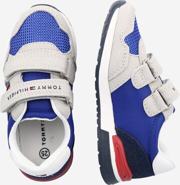 TOMMY HILFIGER Sneakers in Blue