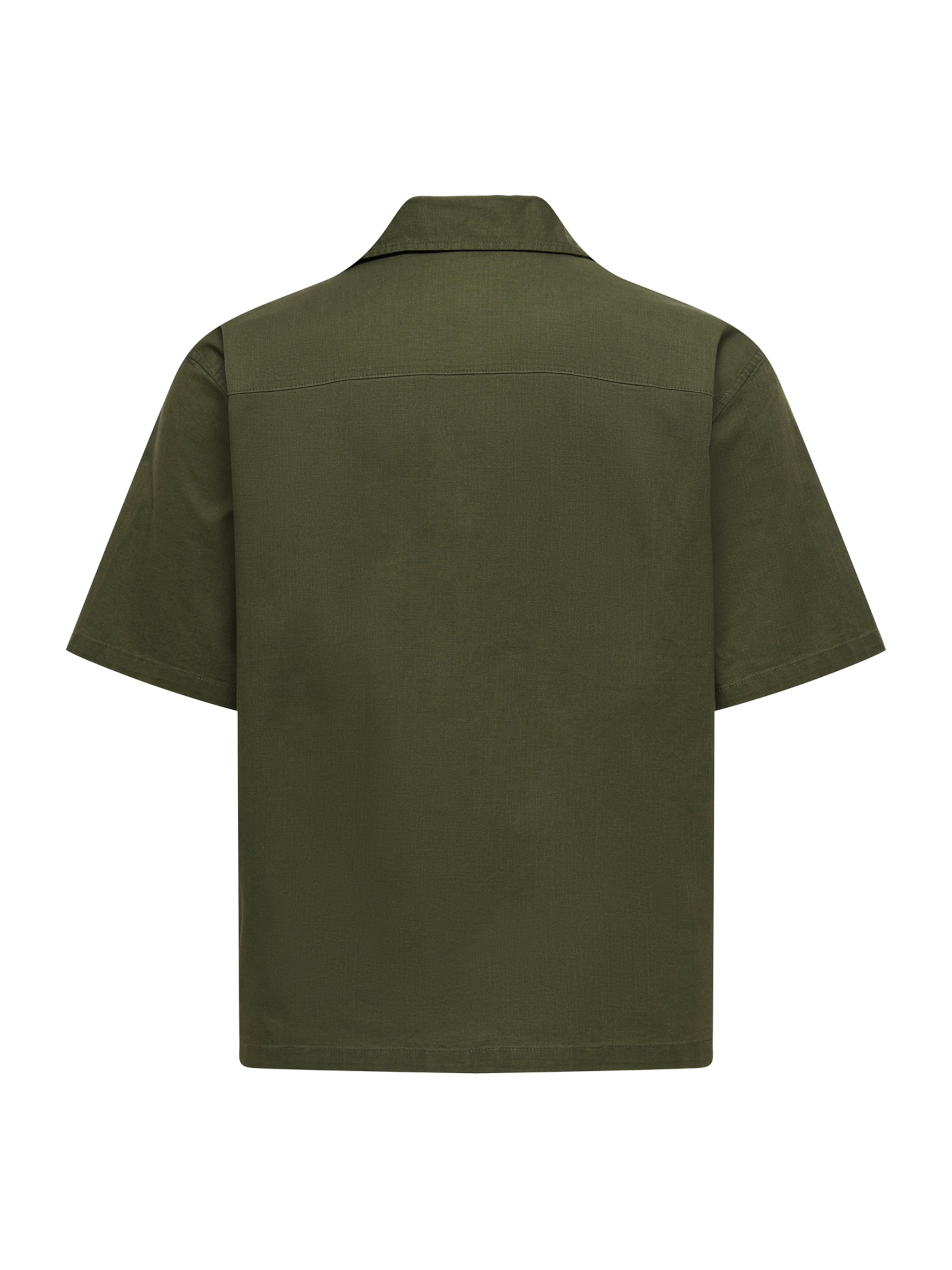 Only & Sons Comfort fit Button Up Shirt 'ONSREID' in Green