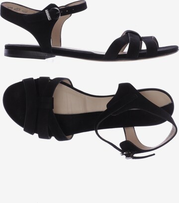 JOOP! Sandals & High-Heeled Sandals in 40,5 in Black: front