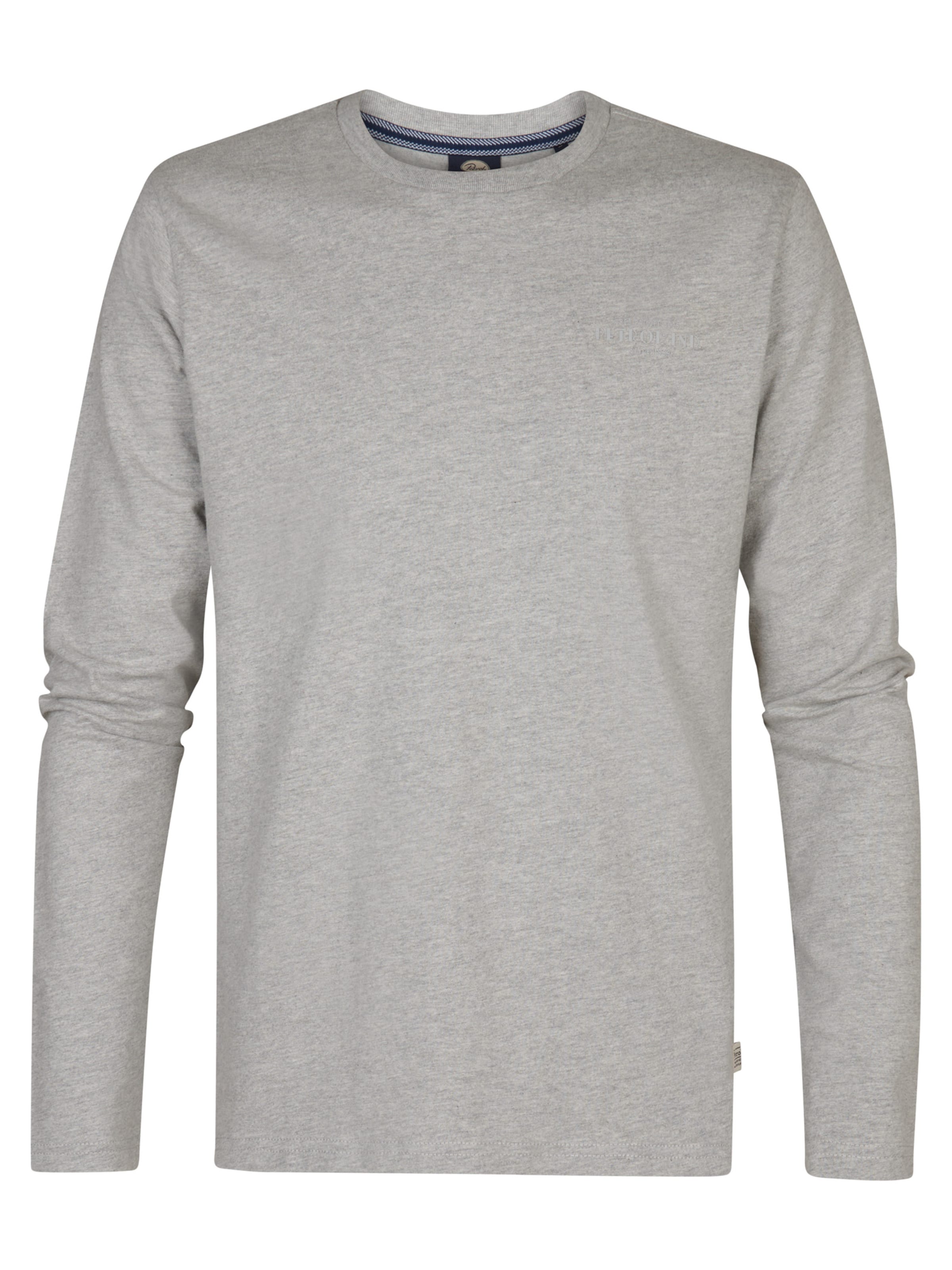 pelēks Petrol Industries T-Krekls 'Dolphinpark': no priekšpuses