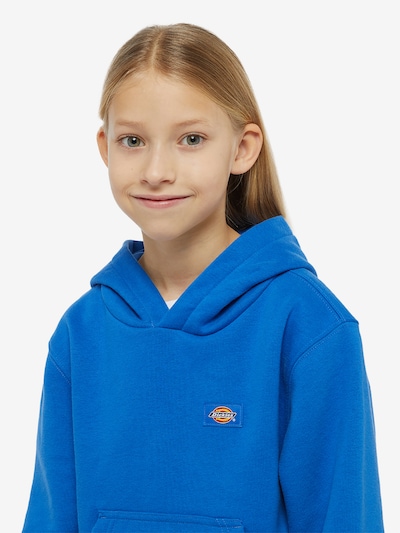 Bluză de molton DICKIES pe albastru / mai multe culori, Vizualizare produs