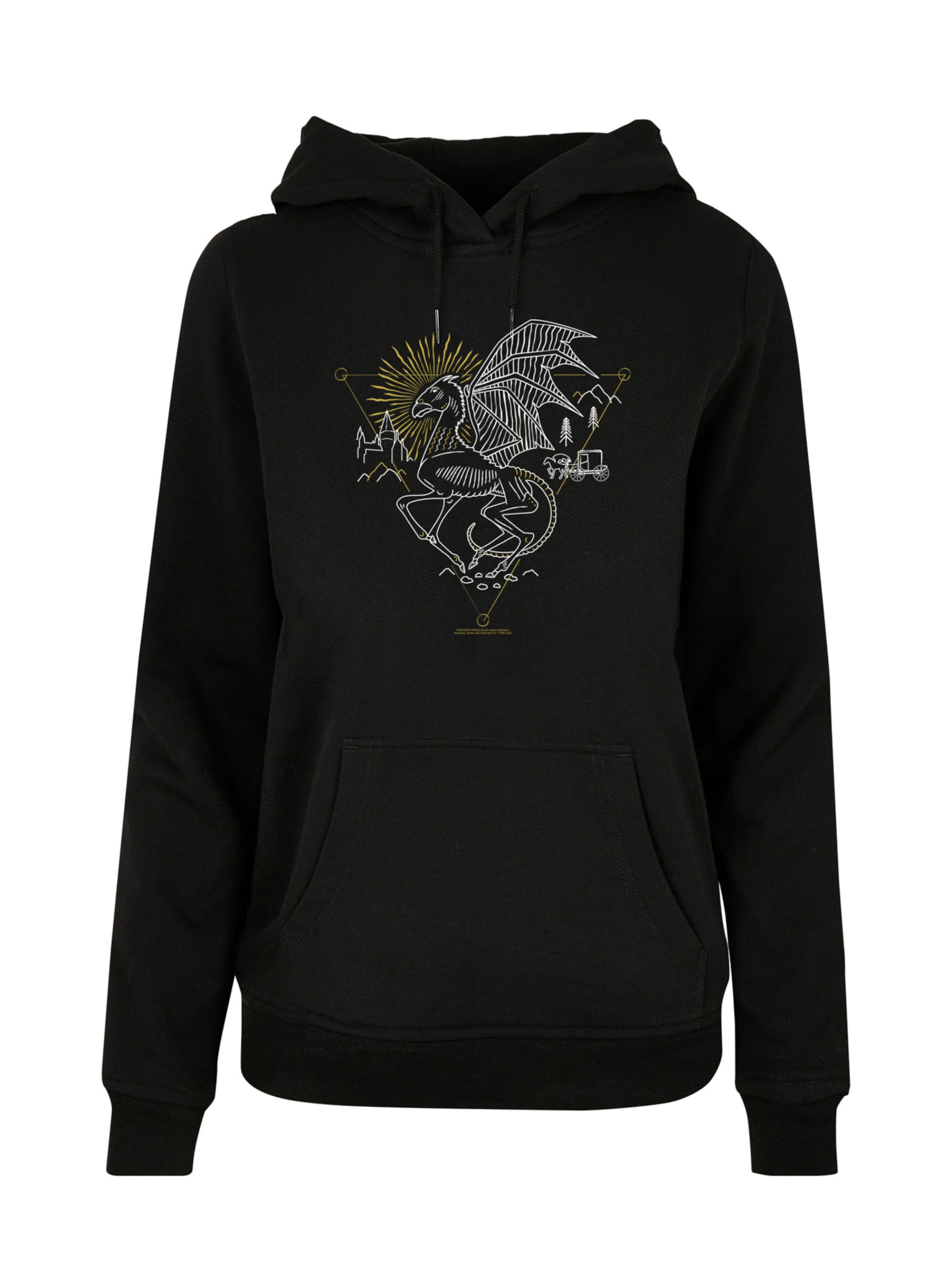 Sweat-shirt 'Harry Potter Thestral' F4NT4STIC en noir : devant