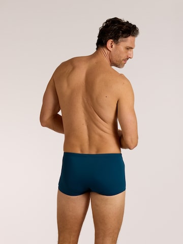 wavebreaker Swim Trunks in Blue