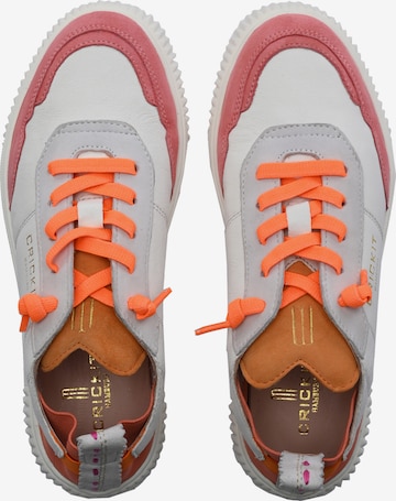 Crickit Sneakers ' OAKLI ' in Mixed colors