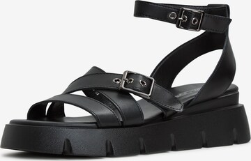 CESARE GASPARI Sandals in Black: front