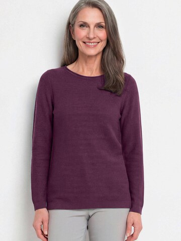 Goldner Sweater in Purple