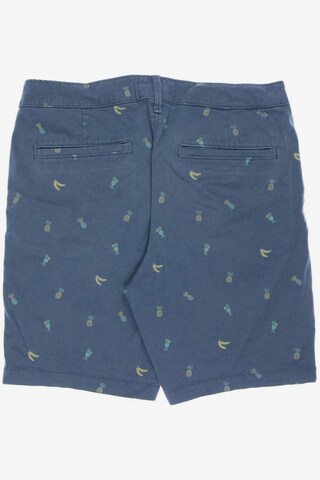 HOLLISTER Shorts in 32 in Green