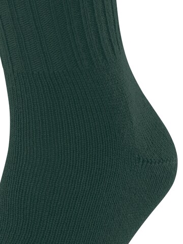 FALKE Socks 'Nelson' in Green