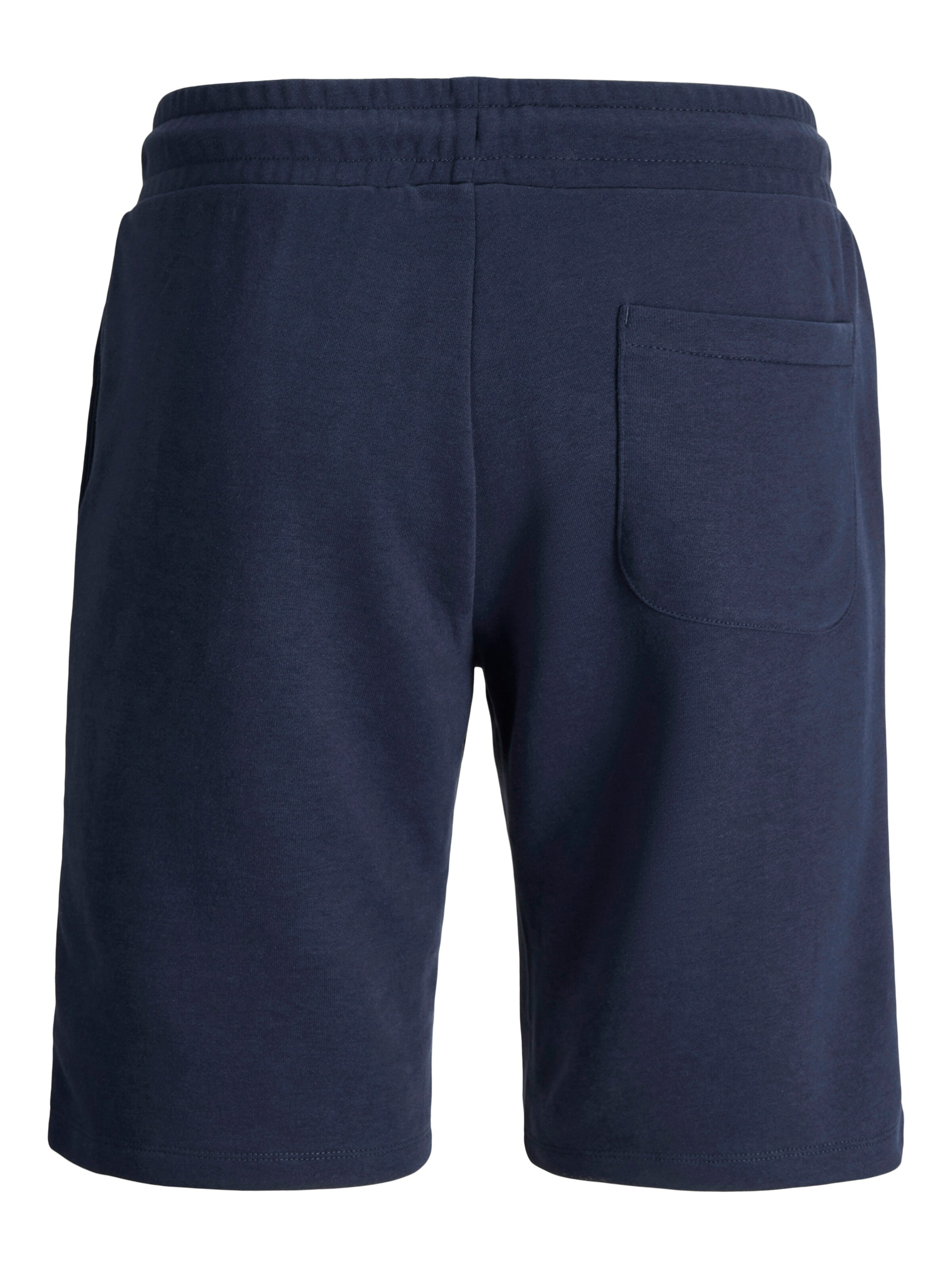 Jack & Jones Plus Regular Pants in Blue