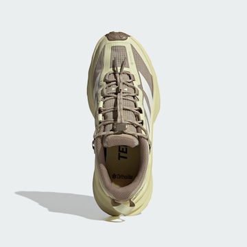 ADIDAS TERREX Low shoe 'Freehiker SL' in Yellow