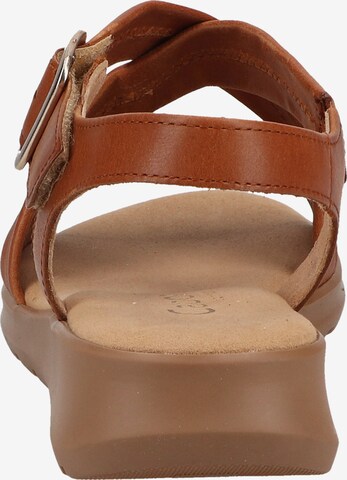 GABOR Strap Sandals in Brown