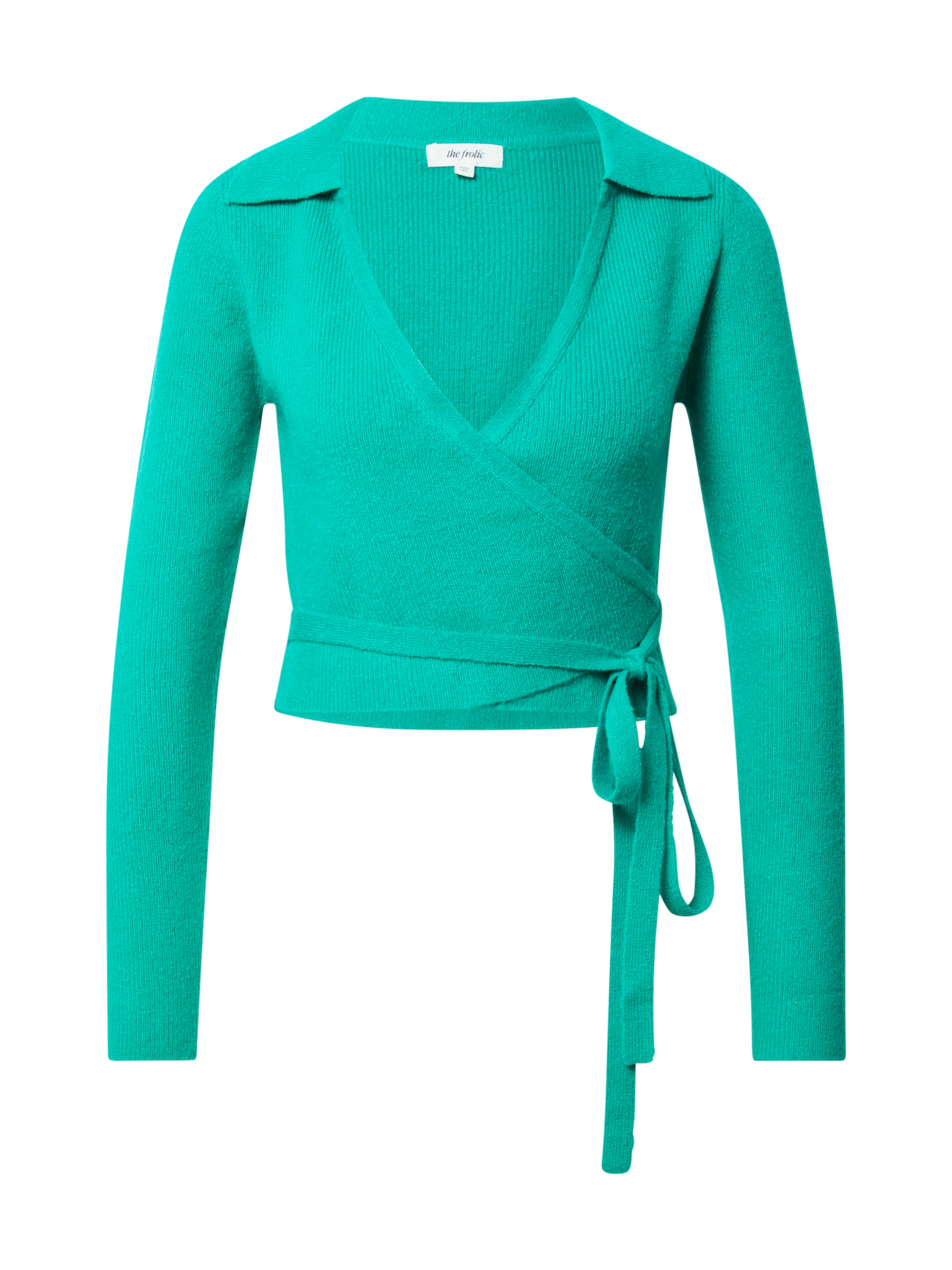 The Frolic Sweater 'PROTEA' in Green: front
