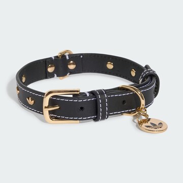 ADIDAS ORIGINALS - Acessórios para animais 'PET' em preto