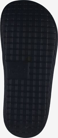 Zoccoletto di LACOSTE in nero