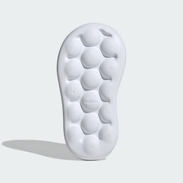 ADIDAS SPORTSWEAR Sportschuh 'Bubblecomfy' in Blau