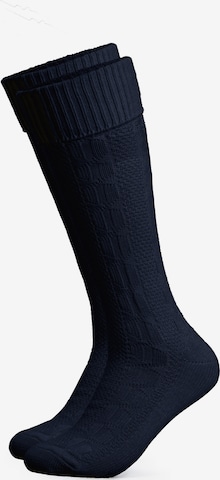 HerzSticht Traditional Socks 'Silberdistel' in Blue: front