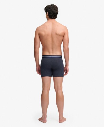 Superdry & Co Boxer shorts in Blue