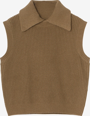 Envii Sweater 'Enblanca' in Brown: front