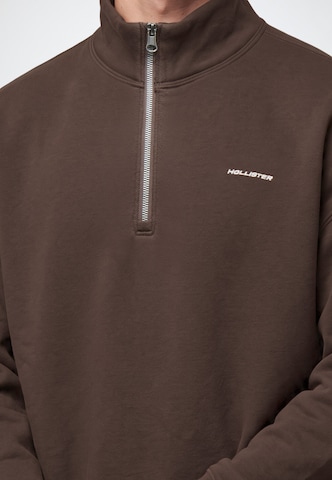 HOLLISTER Sweatshirt in Braun