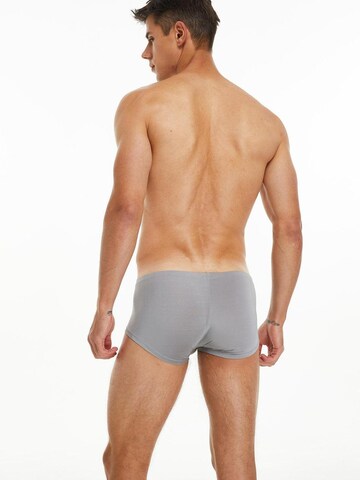 TAUWELL Boxer shorts in Grey