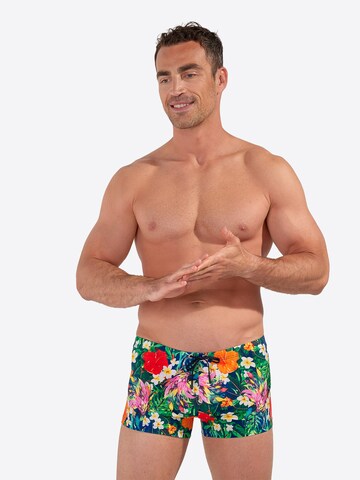 Shorts de bain ' Swim Shorts Peacock ' HOM en mélange de couleurs : devant