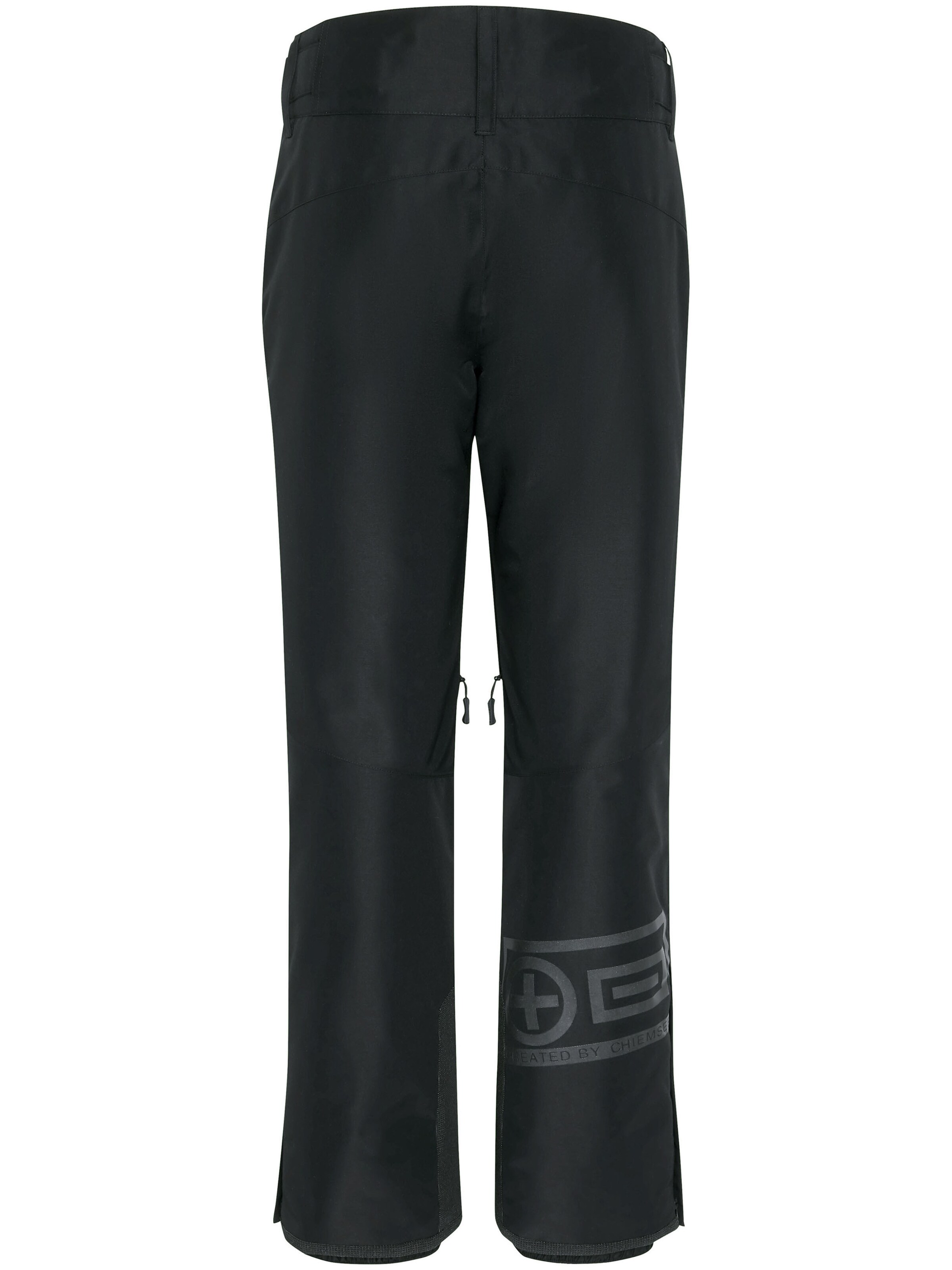 CHIEMSEE Regular Outdoor Pants in Black