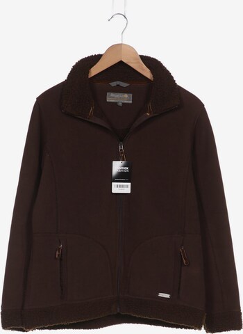 REGATTA Sweatshirt & Zip-Up Hoodie in XL in Brown: front