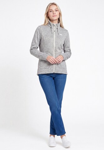 Veste en polaire Schmuddelwedda en gris