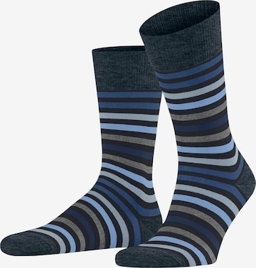 FALKE Socken 'Tinted Stripe' in Blau: Vorderseite
