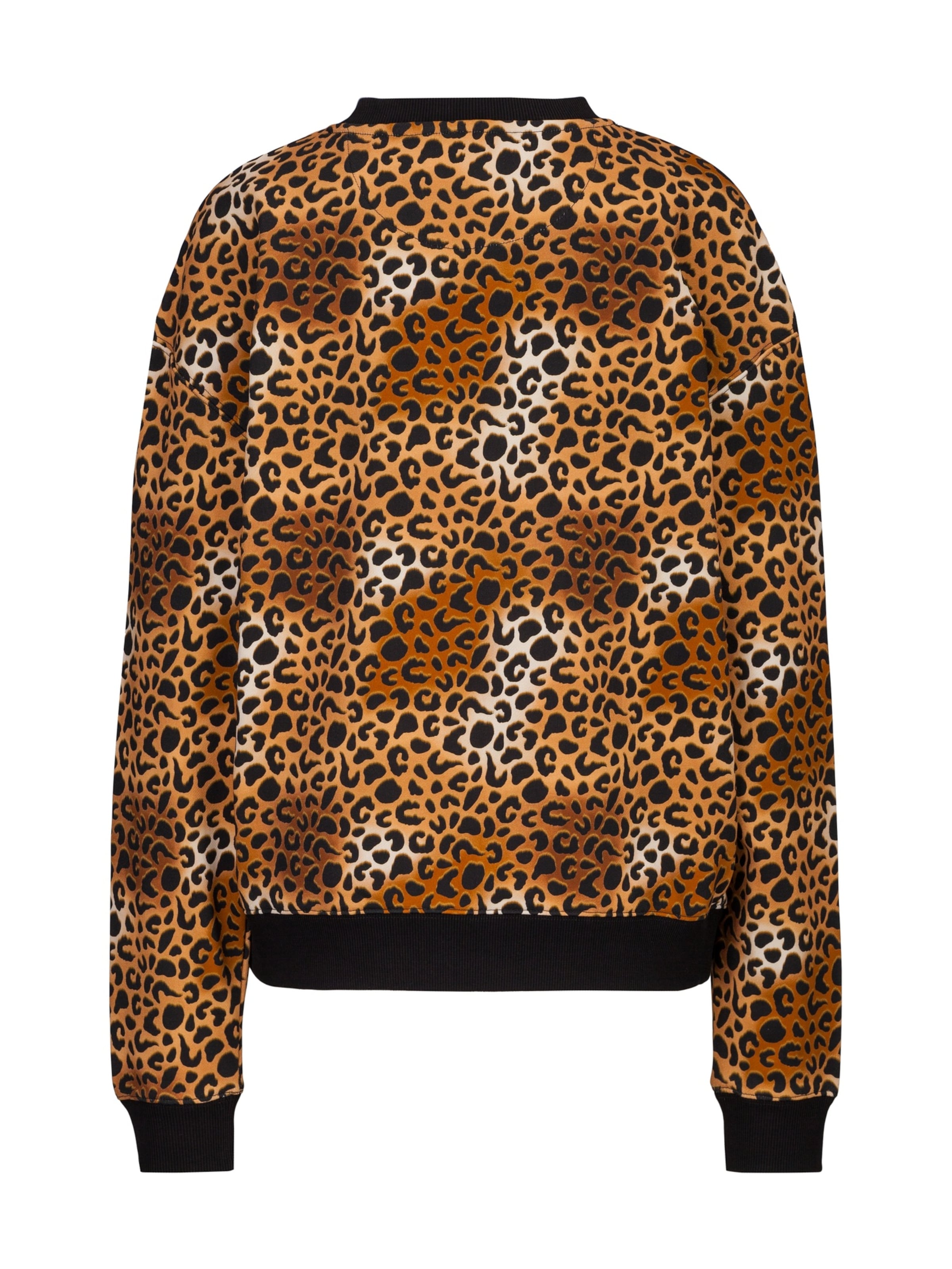 Sweat-shirt 'Sinja Leo' 19V69 ITALIA en marron