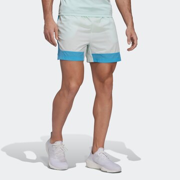 ADIDAS SPORTSWEARregular Sportske hlače - zelena boja: prednji dio