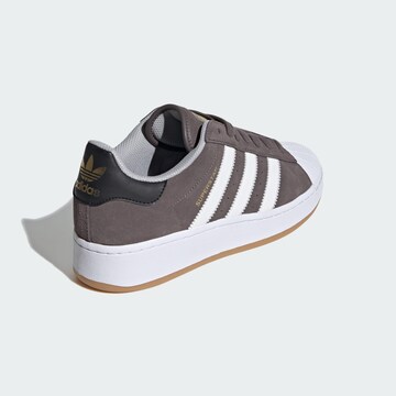 ADIDAS ORIGINALS Sneaker 'Superstar' in Braun