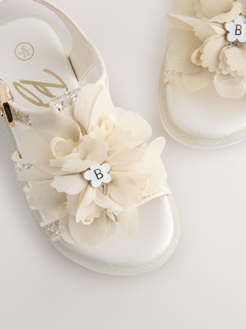 Baker by Ted Baker Sandalen in Goud