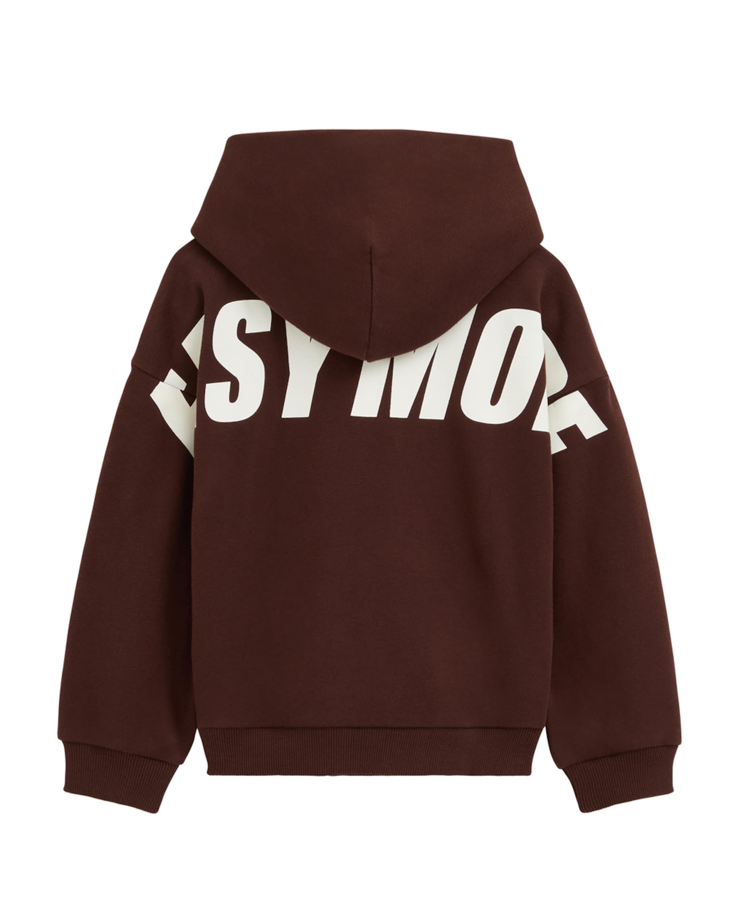 WE Fashion Sweatshirt in Brown