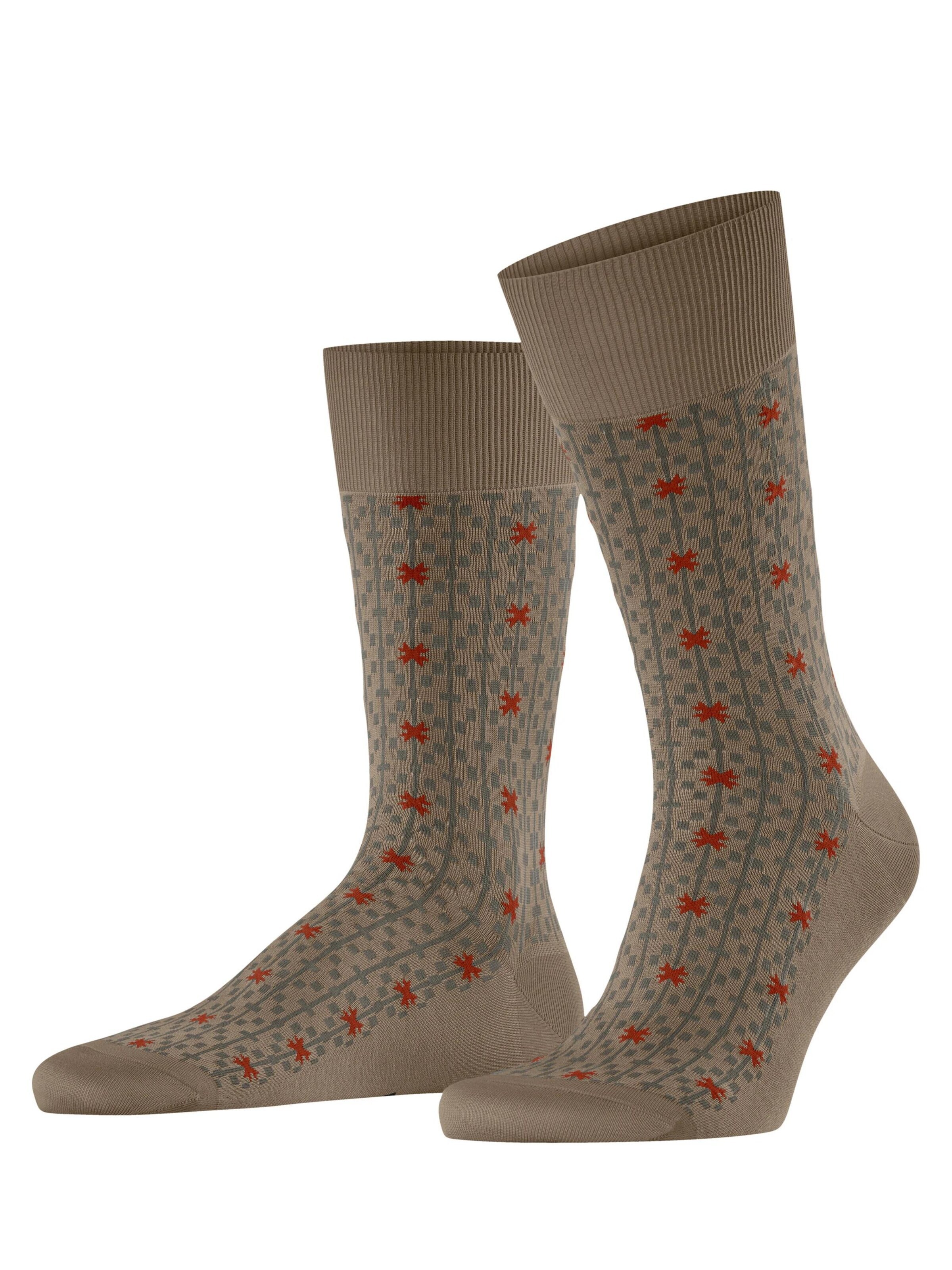 FALKE Socken 'Sun Touch'‌‌‌‌‌‌‌‌‌‌ in Beige: Vorderseite