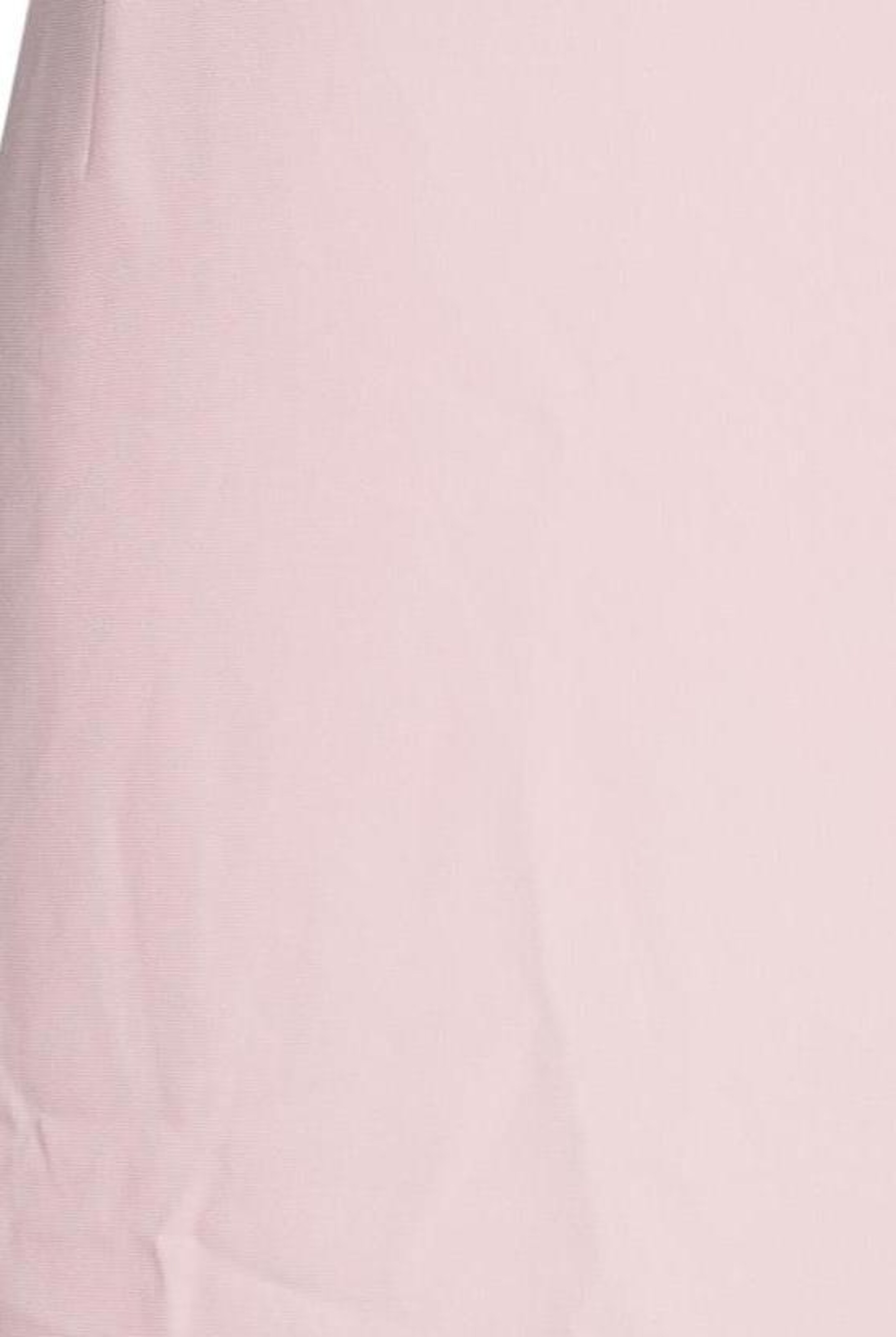 Basler Skirt in 10XL in Pink