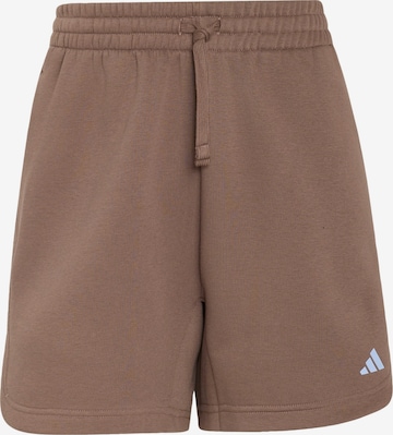 ADIDAS SPORTSWEAR Παντελόνι φόρμας 'Studio' σε καφέ: μπροστά