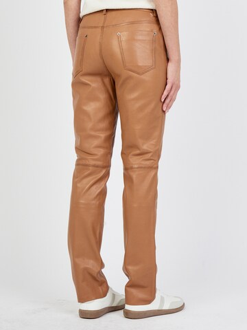 JCC Regular Hose in Braun