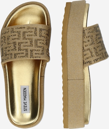 STEVE MADDEN Pantolette 'KORA' in Gold