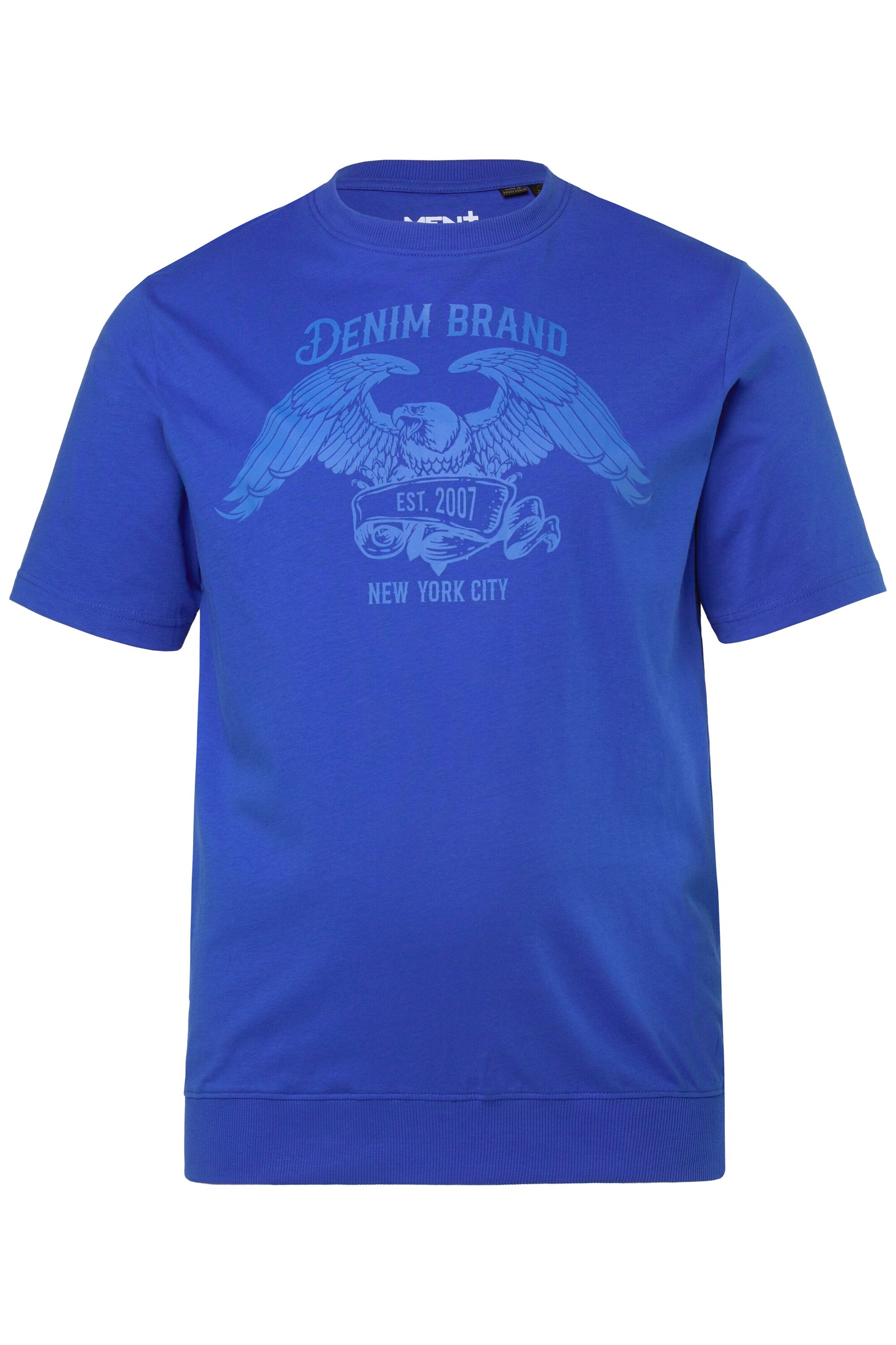 Men Plus Shirt in Blue: front