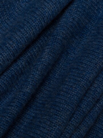 Brookshire Trui in Blauw