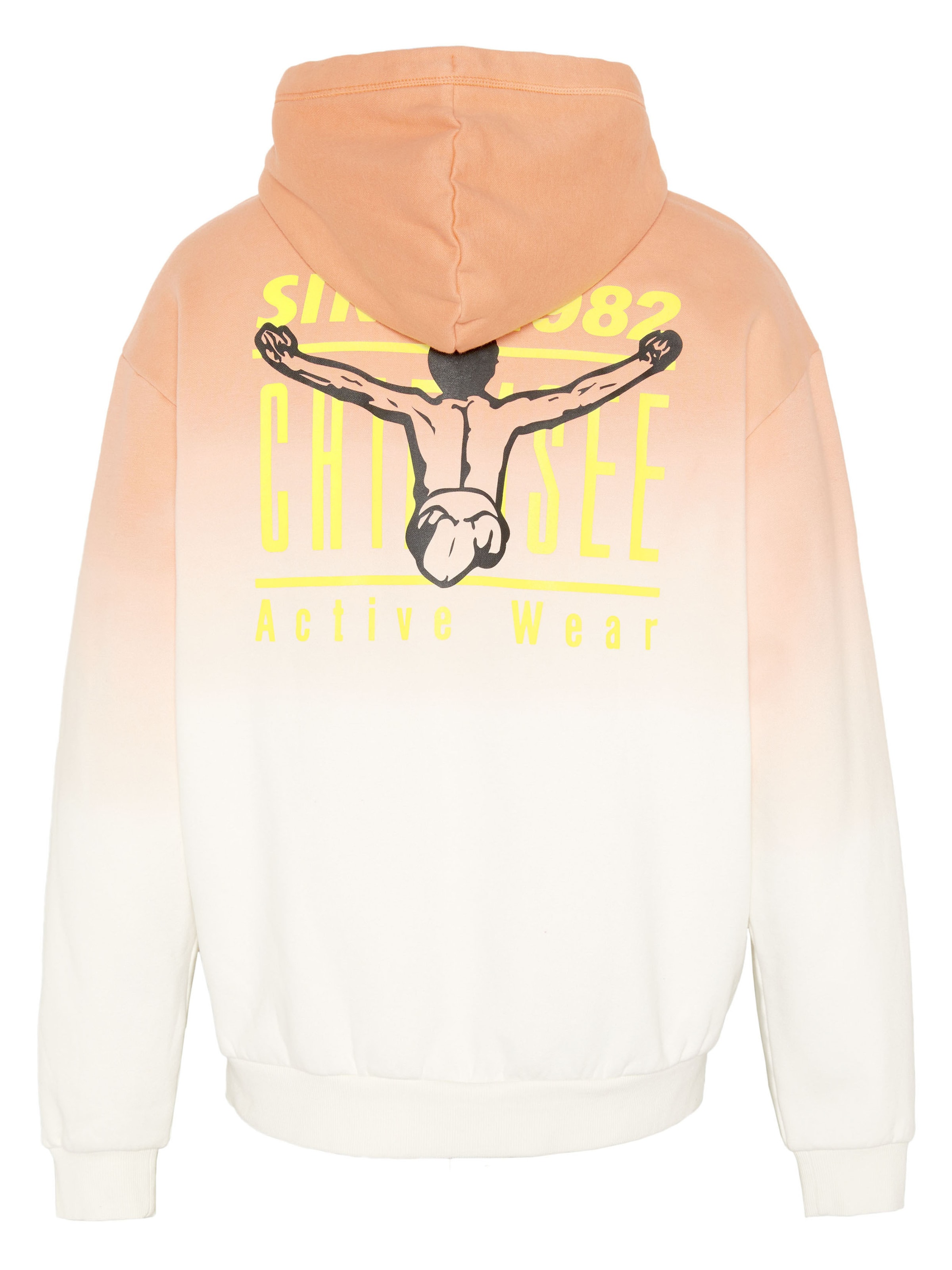CHIEMSEE Sweatshirt ' mit Farbverlauf ' in Orange