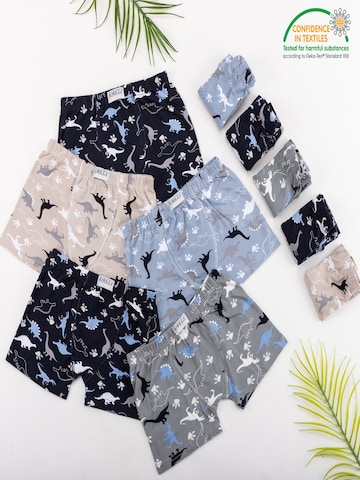LOREZA - Calzoncillo 'Jungen Boxershorts Dino' en Mezcla de colores