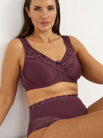 Cellbes of Sweden Minimizer BH in Rot