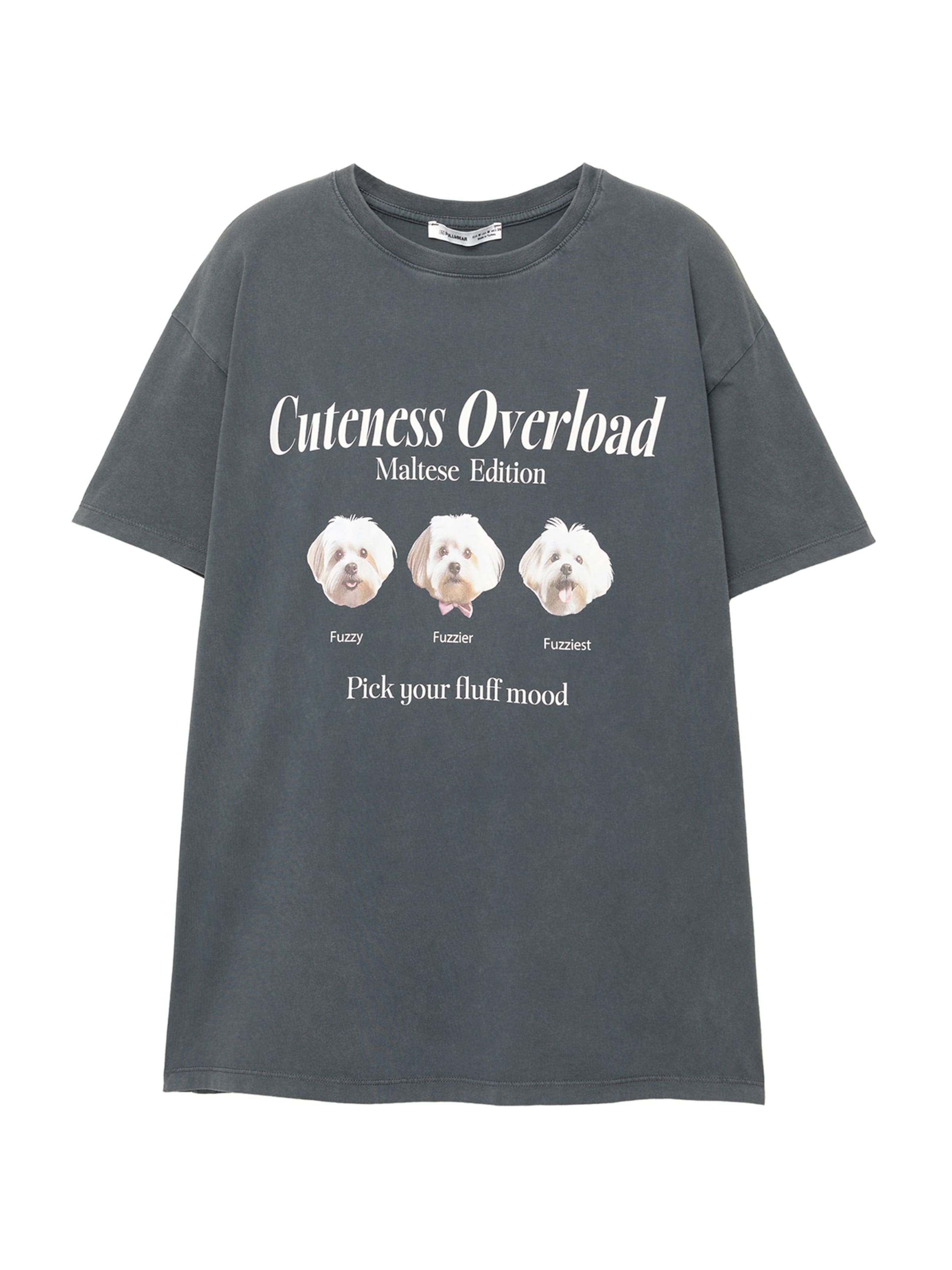 Tricou Pull&Bear pe maro deschis / gri închis / roz / alb, Vizualizare produs