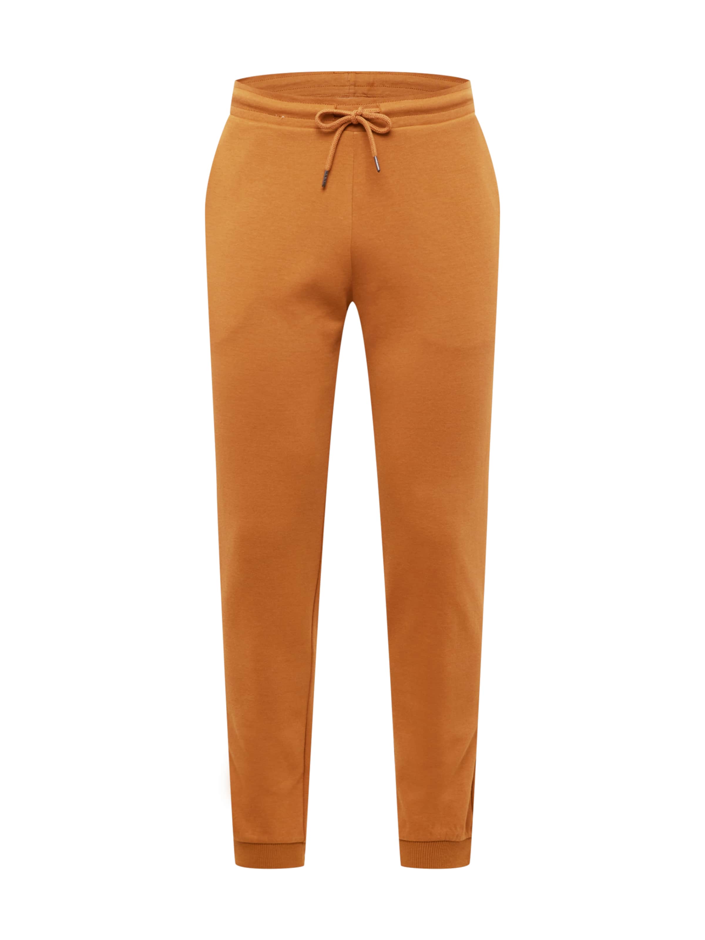 Pants (Brown) for men | Buy online 