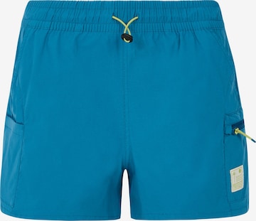 PROTEST Board shorts 'PRTBoto' in Blue: front