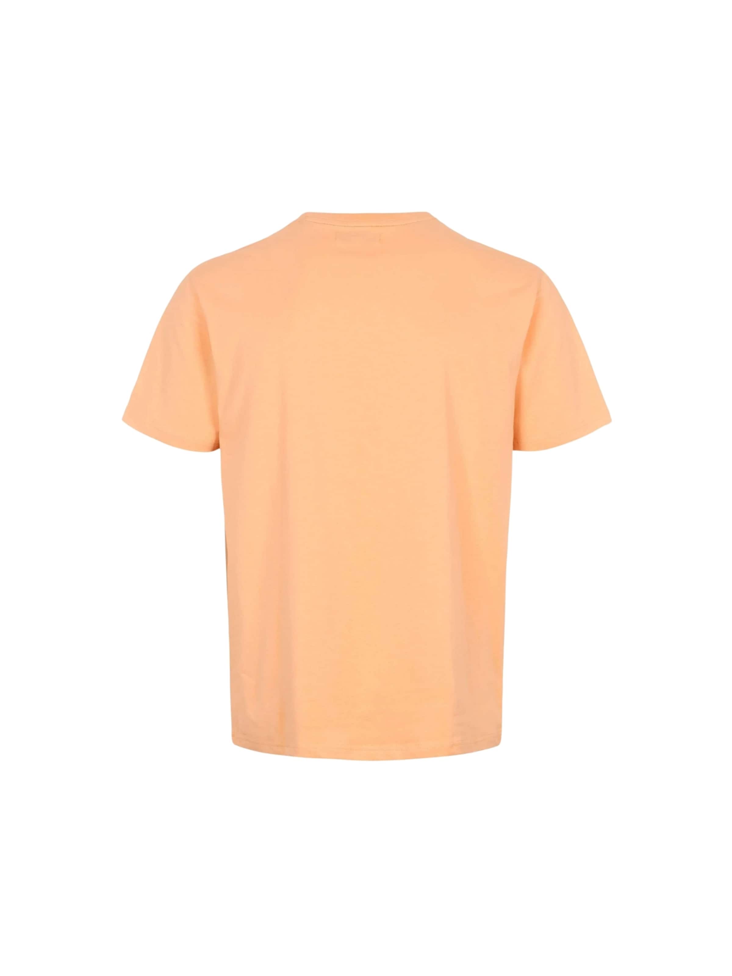 Coupe regular Chemise ' Nord ' U.S. POLO ASSN. en orange